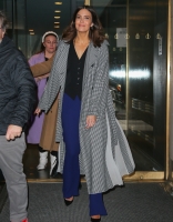 Filename=bgus_1897251_004.jpg
Filesize=3050KiB
Dimensions=2000x3000
Date added=Jul 27, 2020 bgus_1897251_004.jpg