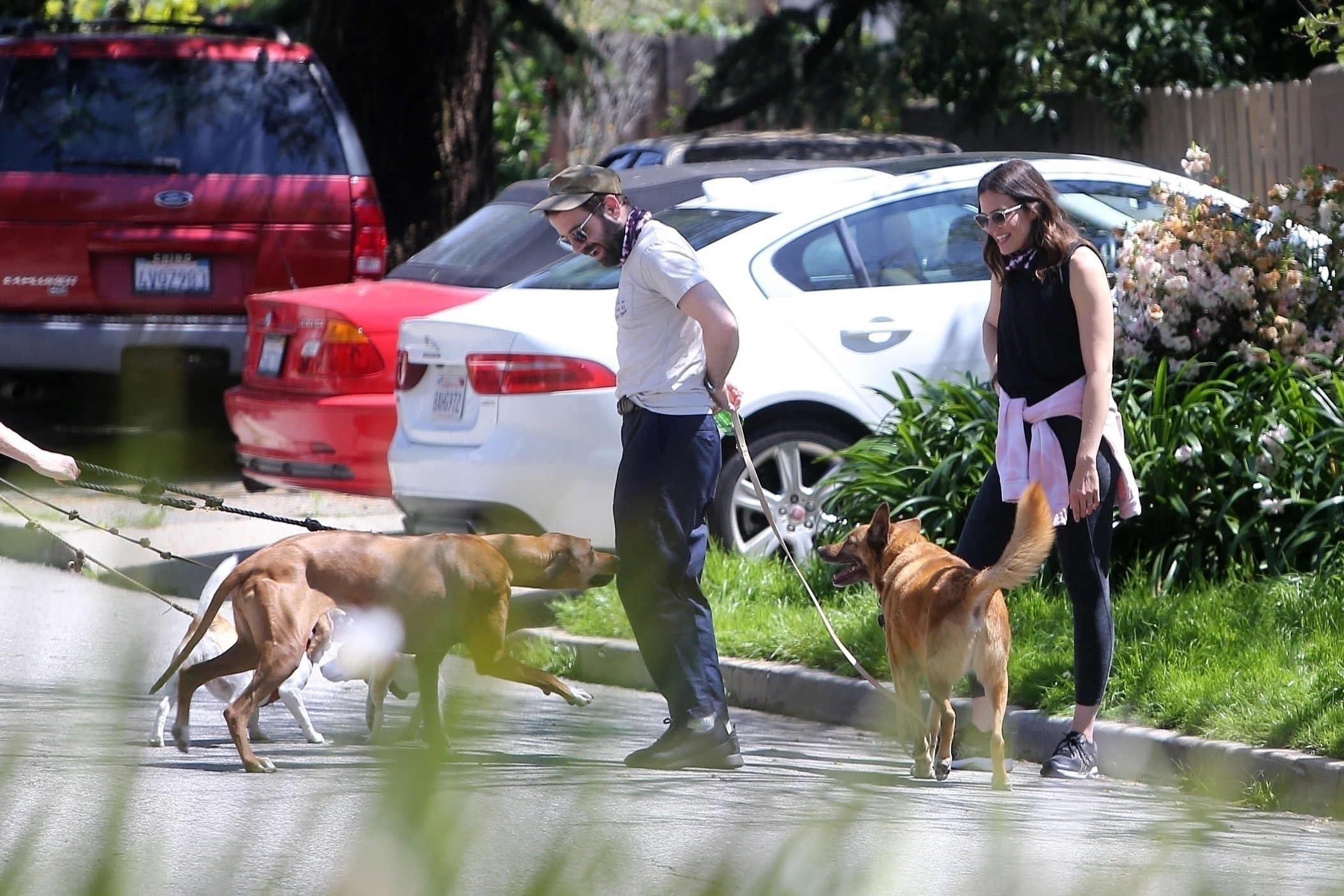 1916868_035.jpg 1916868_035.jpg