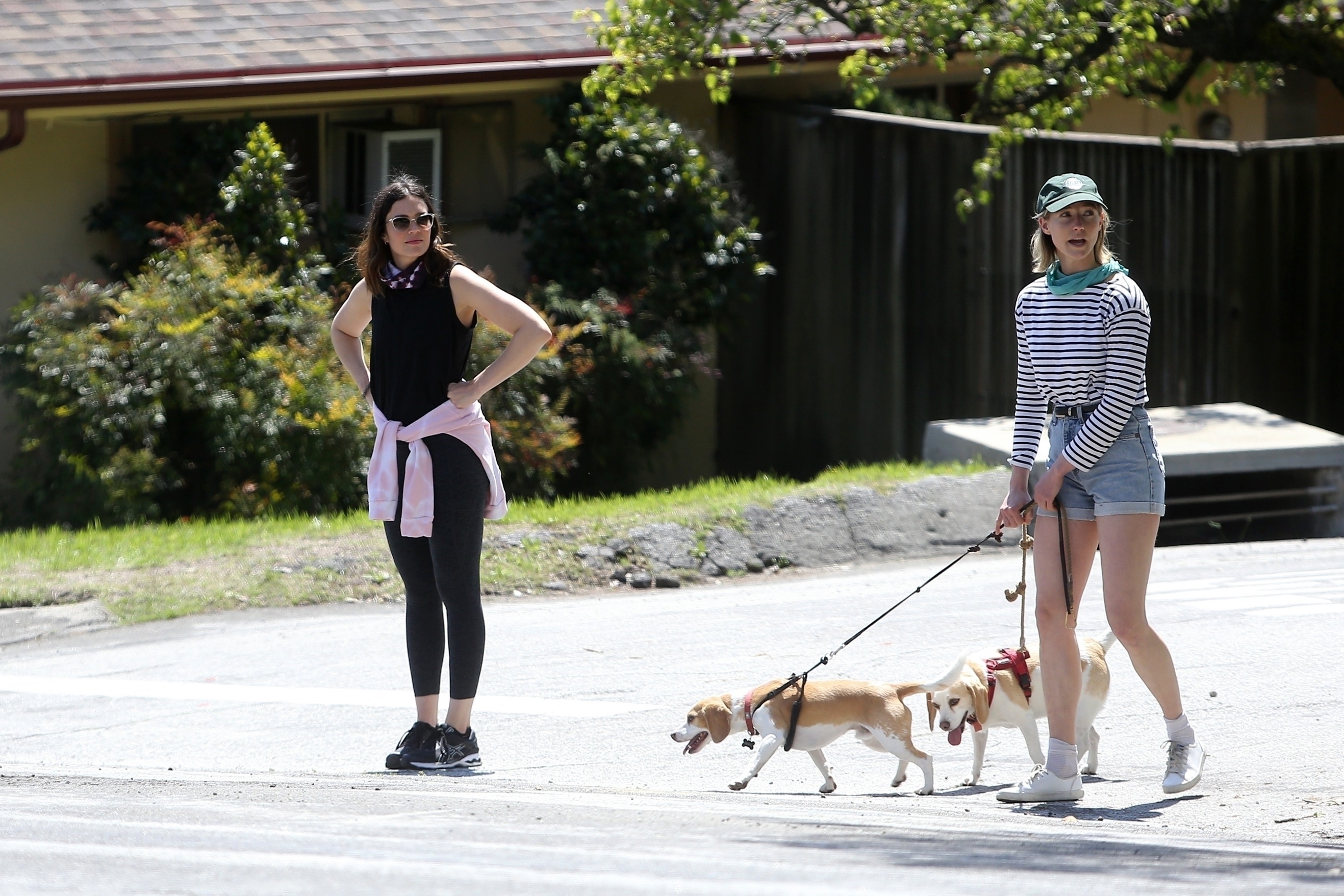 1916868_037.jpg 1916868_037.jpg