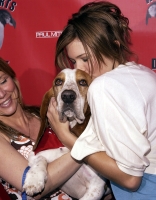 Filename=52700903.jpg
Filesize=810KiB
Dimensions=3000x2044
Date added=Sep 23, 2020 52700903.jpg